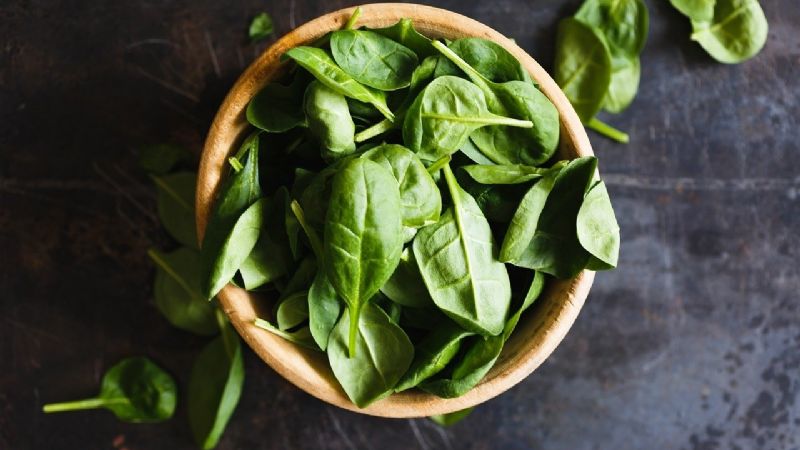 Protective plants: how to use basil to attract money and keep bad vibes away from your home?